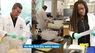 2020 Water Quality Report