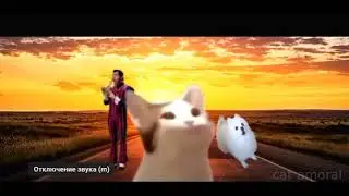 Ну как вам=)