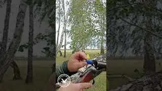 Немецкий дробовик против груши. SAUER 8 