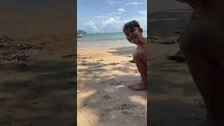 Крокодил местного разлива #crocodile #beach #samui #thailand #krabi #indonesia #bali#lizard #варан
