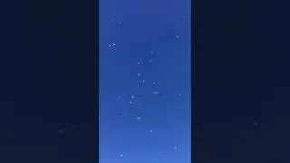 Балакший Григорий