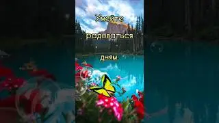 Хорошего дня! 🫶 Умейте радоваться дням))