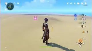Weird Glitch in Genshin Impact