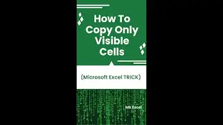 Copy & Paste VISIBLE CELLS ONLY  in Excel   