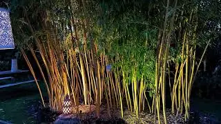La Palmeraie virtual garden visit 2023