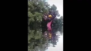 Карусели + аква парк. 