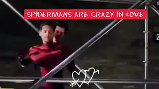spidermans are crazy in love