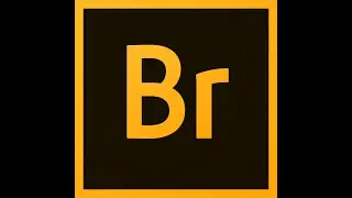 Corso Adobe BRIDGE