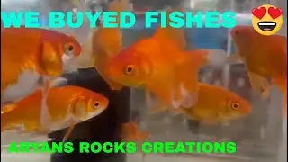 മീനുകളുടെ രാജ്യത്തേക്ക് ഒരു യാത്ര (aryans rocks creations)