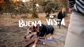 Buena Vista Park Stroll 🏞🐶