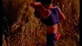 A Momentary Lapse of Reason Pink Floyd Learning to Fly