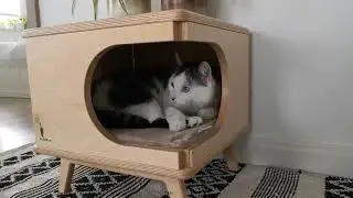 Домик для кошки
