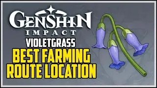 How to Get Violetgrass - Genshin Impact - Best Farming Route