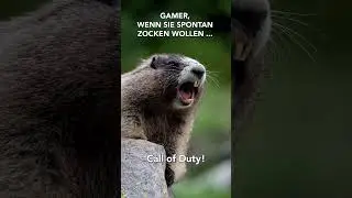 GAMER, wenn sie SPONTAN Zocken wollen 