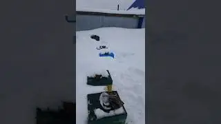 ждём первый облёт пчёл 