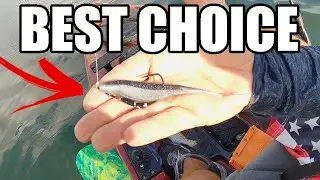 This Lure Drives Fish Crazy, Limited Out On Speckled Trout In An Hour