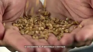 Сельское хозяйство