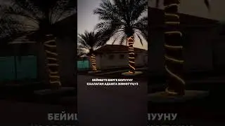 Бейишке кирүү үчүн дуба