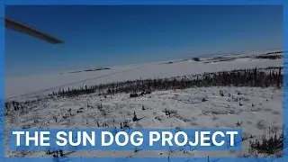 The Sun Dog Project