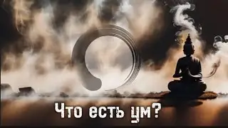 Несколько слов об уме...