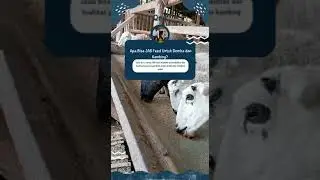 JAB FEED UNTUK DOMBA DAN KAMBING PAKAN KONSENTRAT MULTIFUNGSI PESAN 082333770341