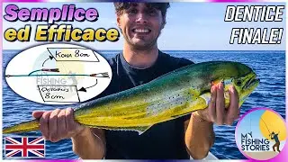 Perfect day of light trolling fishing in Italy | Dolphinfish , Barracuda , Amberjack , Snapper ..