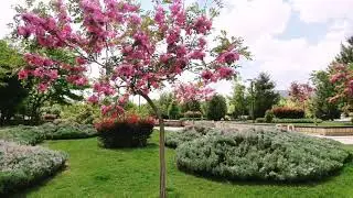Nature in beautiful park