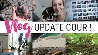 Vlog #72 - Comment je blogue + update COUR !