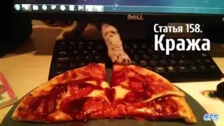 Эти животные знают толк в хулиганствах