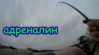 рыбалка на спиннинг зимой, сом шатун не дал поймать судака. джиг с берега