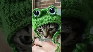 он выжил.. первая часть в профиле