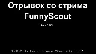 Отрывок со стрима FunnyScout на Discord-сервере 