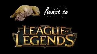 Dogs React to LOL