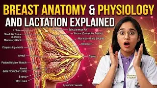 Lactation Process Explained 🔥 Breast Anatomy & Physiology Nursing Lecture OBG l 