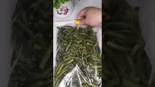ЧЕСНОЧНЫЕ ДУДКИ В ЗАМОРОЗКУ #заморозки #заморозкаовощей #заморозкавпрок #салат #какзаморозить