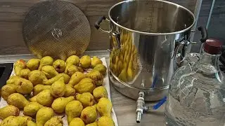 🍐🍐🍐🍐🍐🍐🍐мацерация,,ДЮШЕС,,🥃🥃💯👍