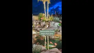 Swimmable Koi Pond Pool FAQ Part 1