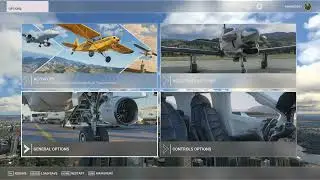 Microsoft Flight Simulator