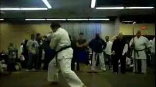 eku bo sho kata    shuri-goju ryu