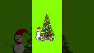 Christmas Ornament Green Screen Overlay 