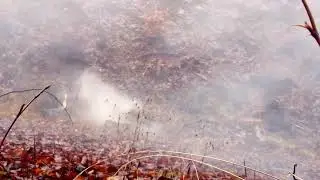 Testing the detonability of two 