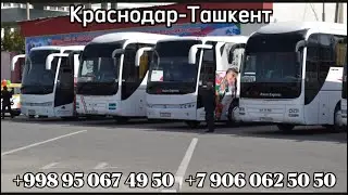 #краснодар