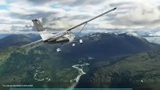 MS Flight Simulator 2020 Live Flights