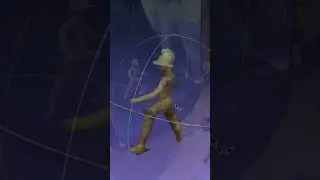 Gladiator Timelap