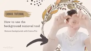 How to remove backgrounds | Background removal tool in Canva Pro