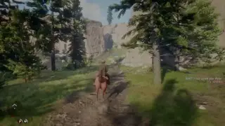 Read Dead Redemption 2 PS4 Pro