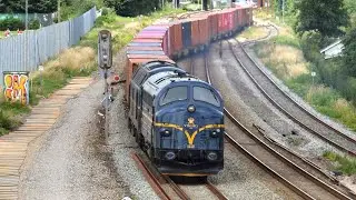 VIK MY 1152 og 1831 i Nordjylland 3/7 2024