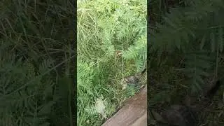Евангелие покаяние, жизнь с Господом нашим Иисусом Христом!