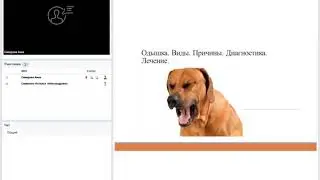 Одышка. Виды. Причины. Диагностика. Лечение.