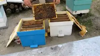 Заселяю нуклеусы